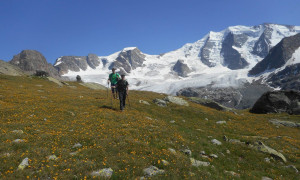 Abstieg Morteratsch - Abstieg Abstieg Morteratsch - Abstieg