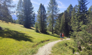 Bergtour Conturines, Lavarella - Abstieg