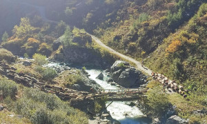 Bergtour Quirl - Almabtrieb der Schafe